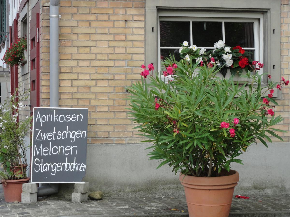 Bed And Breakfast Wegmann Andelfingen 외부 사진