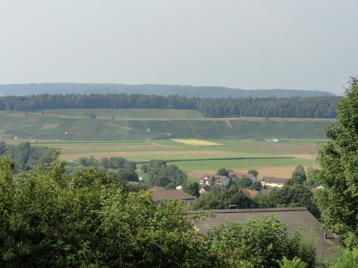 Bed And Breakfast Wegmann Andelfingen 외부 사진